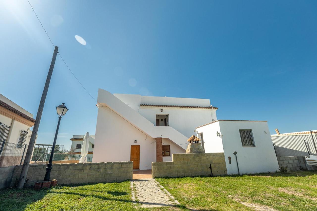 Luz A * Bolonia